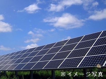 中津川市×野菜・花/法人【31912】-top