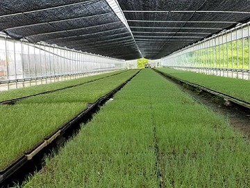 株式会社西陣屋-3