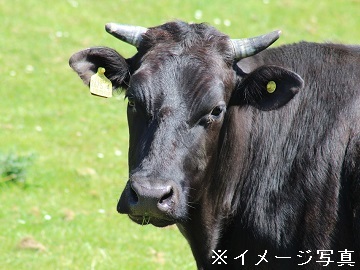 株式会社壱岐畜産-top
