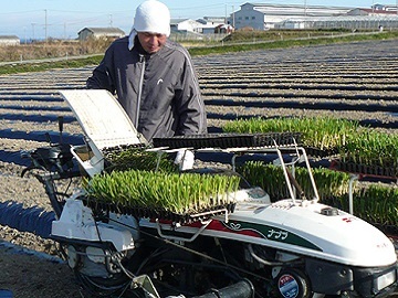 兵庫県淡路市×露地野菜/法人【32035】-2