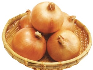 兵庫県淡路市×露地野菜/法人【32035】-top