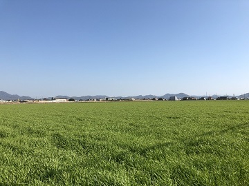 岡山県岡山市×稲作/法人【32058】-1