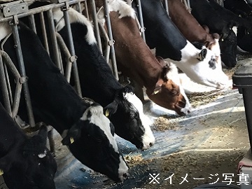 えんゆう酪農ヘルパー利用組合-top