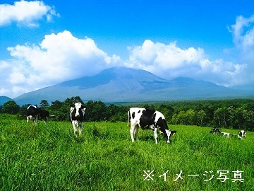美深町酪農ヘルパー利用組合-3