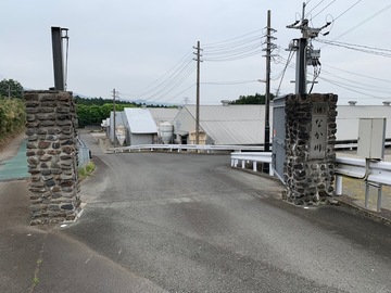 なか川