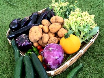 ★あぐりナビ農業求人～オステリアT(T農園)～神奈川県★