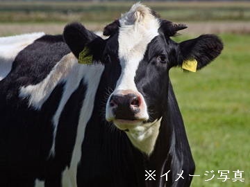 那須塩原市×酪農/個人【32156】-top