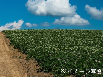 置戸町×牧場/個人【32203】-top
