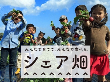 ★あぐりナビ農業求人～株式会社　アグリメディア ～関東近郊★