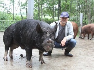 有限会社十勝しんむら牧場-6