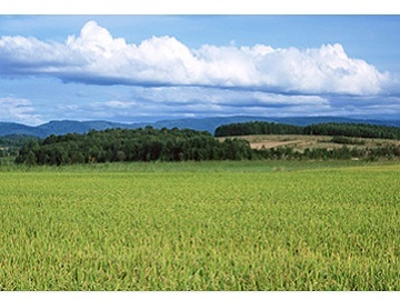 長野県松本市×稲作・畑作/個人【32263】-top