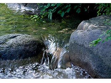 長野県松本市×稲作・畑作/法人【32263】-1