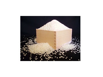 長野県松本市×稲作・畑作/法人【32263】-2