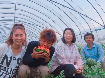 鍋島農園-top
