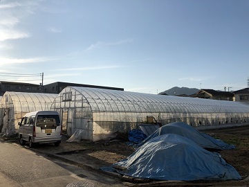 石橋農園(広島市)-8