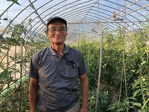 石橋農園(広島市)-top