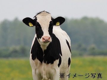 鳴海牧場‐top