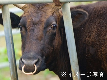 津山市×肉牛/法人【32316】-top