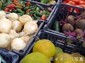 大阪府河内長野市×店舗運営(青果部門)/法人【32307】-2