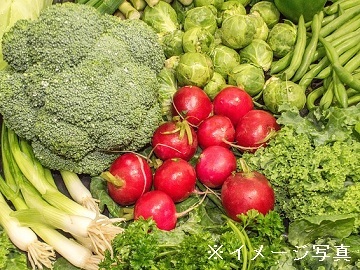 大阪府河内長野市×店舗運営(青果部門)/法人【32307】-1