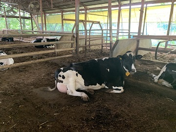 株式会社カウシン-2