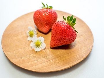 農業生産法人 株式会社ひのいちご園 愛媛県西条市 正社員 契約社員 パート アルバイト インターンシップ 研修生 新規就農希望者 の求人情報 農業 酪農求人あぐりナビ