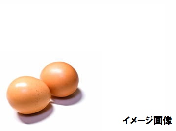 福島県塙町×養鶏/法人【6673】-top