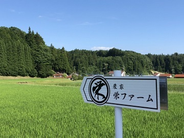 栄ファーム-top