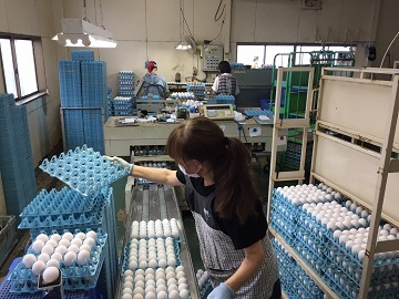 株式会社川北商店(鈴鹿)-top