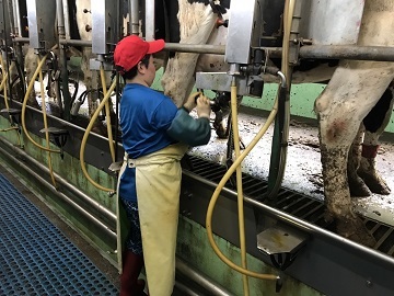 有限会社ノースグランド-5