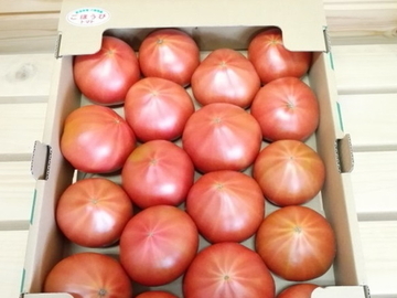 新潟県新潟市×施設野菜/個人【32510】-1