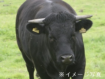 茨城県北茨城市×肉牛/法人【32541】-top
