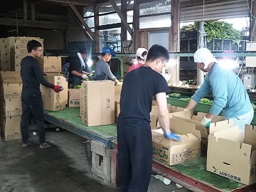 倉内農場株式会社-1