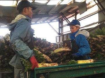 倉内農場株式会社-2