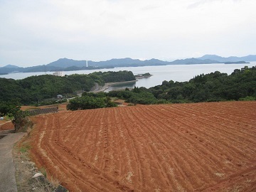 広島県竹原市×花卉/法人【32505】-1