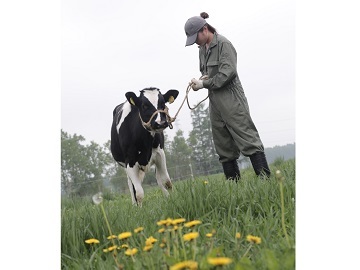 北海道音更町×酪農/法人【32567】-1