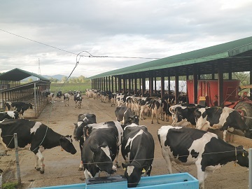 北海道音更町×酪農/法人【32567】-2