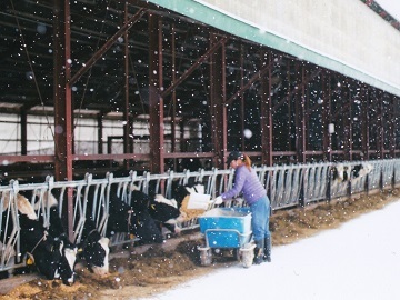 北海道音更町×酪農/法人【32567】-4