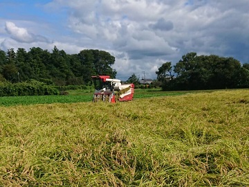 株式会社アグリアート水本-4