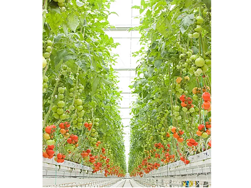 株式会社八ヶ岳みらい菜園-2
