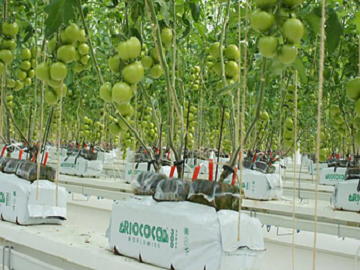 株式会社八ヶ岳みらい菜園-3