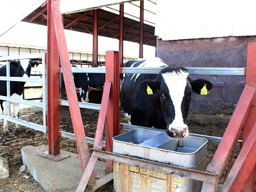 北海道鹿追町×酪農/法人【0338】-1