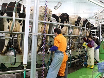 北海道鹿追町×酪農/法人【0338】-3