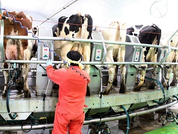 北海道鹿追町×酪農/法人【0338】-4