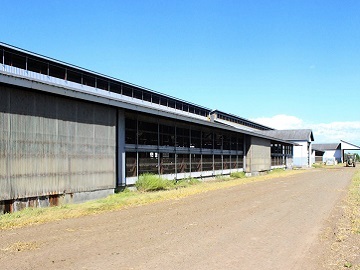 北海道鹿追町×酪農/法人【0338】-6