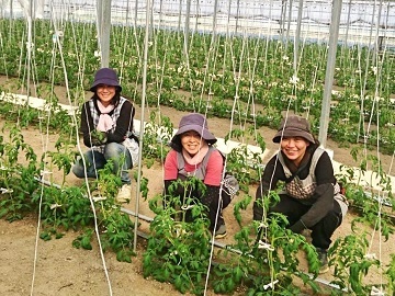 小林農園(本庄市)-1