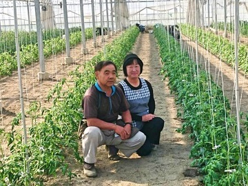 小林農園(本庄市)-2