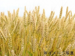 三重県四日市市×稲作・畑作/個人【32699】-top