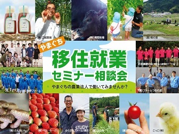 移住就業セミナー相談会-top