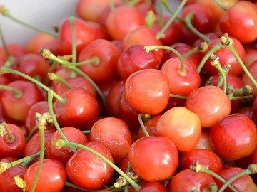 株式会社菱沼農園-4